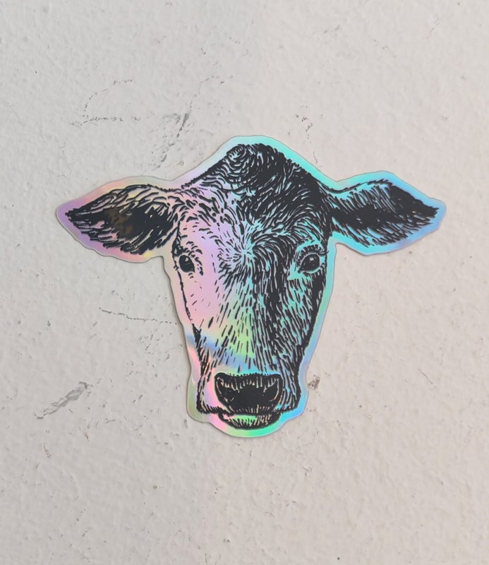 Tarra Sateenkaarilehm&auml;, holo